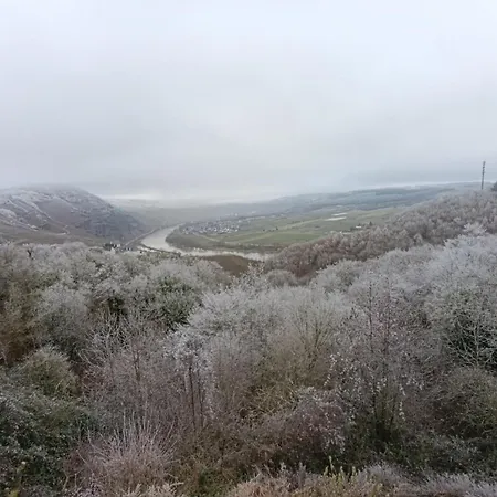 Domek letniskowy Belavista'nbed - Peaceful With Private Terrace And Amazing Mosel Valley Views