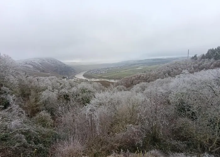 אכסניה Belavista'nbed - Peaceful With Private Terrace And Amazing Mosel Valley Views