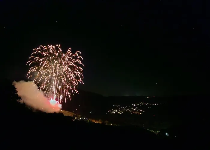 Belavista'nbed - Peaceful With Private Terrace And Amazing Mosel Valley Views * Ürzig